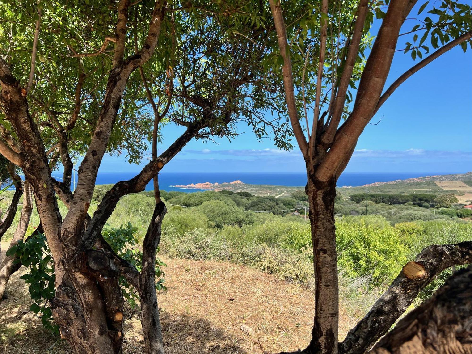 Appartamento Panoramico Isola Rossa Isola Rossa (Sassari) Exterior foto